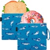 Large  2 Packs - Shark